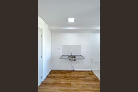 Cozinha de apartamento para alugar com 2 quartos, 39m² em Belenzinho, São Paulo