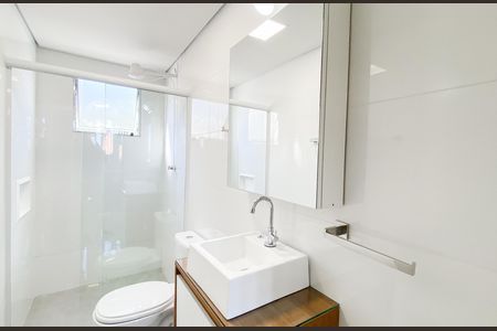 Banheiro  de apartamento para alugar com 2 quartos, 48m² em Conjunto Habitacional Padre Manoel da Nobrega, São Paulo