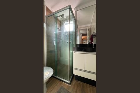 Banheiro de apartamento à venda com 2 quartos, 52m² em Chácara Cruzeiro do Sul, São Paulo