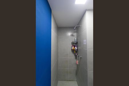 Banheiro de apartamento para alugar com 2 quartos, 37m² em Residencial Parque da Fazenda, Campinas