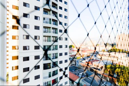 Vista da Suíte  de apartamento à venda com 3 quartos, 64m² em Gopouva, Guarulhos