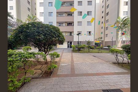 Área Comum de apartamento para alugar com 2 quartos, 52m² em Vila Bela, São Paulo