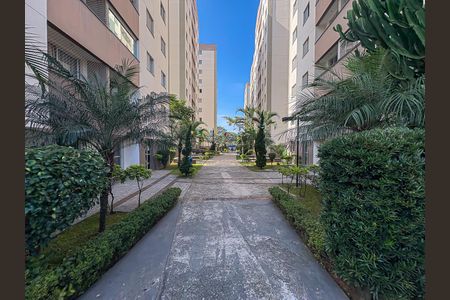 Área Comum de apartamento para alugar com 2 quartos, 52m² em Vila Bela, São Paulo