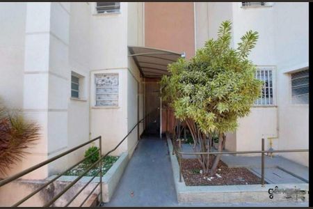 Apartamento à venda com 2 quartos, 45m² em Betânia, Belo Horizonte