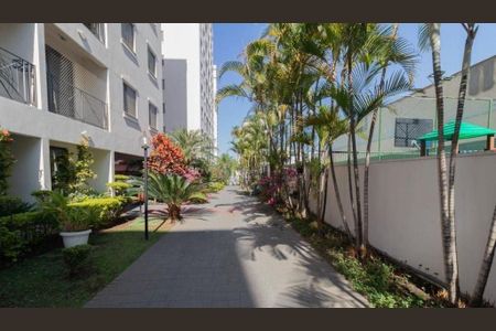 Apartamento à venda com 3 quartos, 63m² em Lauzane Paulista, São Paulo