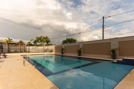 Área comum - Piscina de apartamento para alugar com 2 quartos, 44m² em Jardim Ipaussurama, Campinas