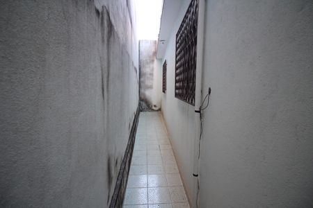 Casa para alugar com 280m², 2 quartos e 5 vagasQuintal