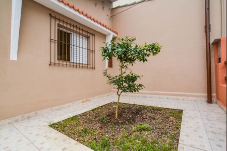 Casa para alugar com 60m², 1 quarto e 1 vaga Casa para alugar com 60m², 1 quarto e 1 vagaÁrea externa