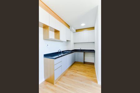 Apartamento para alugar com 35m², 2 quartos e 1 vagaCozinha