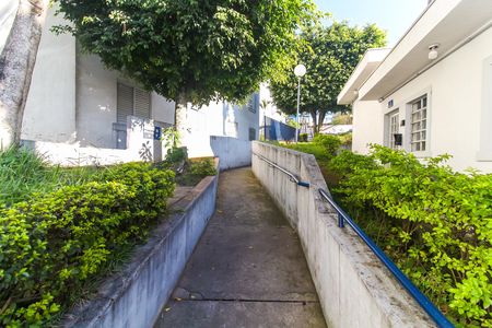 Área comum de apartamento para alugar com 2 quartos, 53m² em Jardim Robru, São Paulo