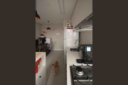 Apartamento para alugar com 38m², 2 quartos e sem vaga Apartamento para alugar com 38m², 2 quartos e sem vagaCozinha