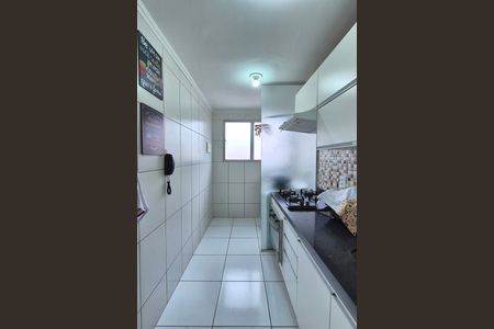 Cozinha de apartamento para alugar com 2 quartos, 45m² em Vila Carminha, Campinas