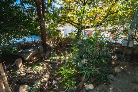 Casa à venda com 1 quarto, 360m² em São Benedito, Belo Horizonte