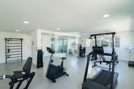 Área comum - Academia de apartamento para alugar com 2 quartos, 55m² em Santa Teresinha, São Paulo