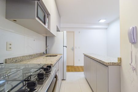 Cozinha de apartamento para alugar com 1 quarto, 40m² em Brás, São Paulo