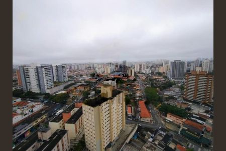 Apartamento à venda com 3 quartos, 81m² em Vila Mascote, São Paulo