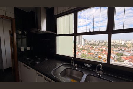 Apartamento para alugar com 302m², 4 quartos e 3 vagasCozinha