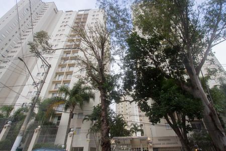 Apartamento para alugar com 3 quartos, 70m² em Jardim Aeroporto, São Paulo