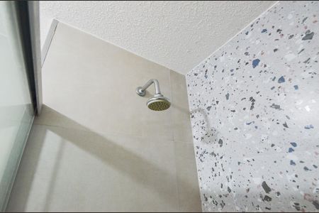 Banheiro de apartamento para alugar com 1 quarto, 36m² em Cambuci, São Paulo