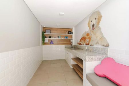 Apartamento para alugar com 27m², 1 quarto e sem vaga Apartamento para alugar com 27m², 1 quarto e sem vagaÁrea comum - Espaço Pet