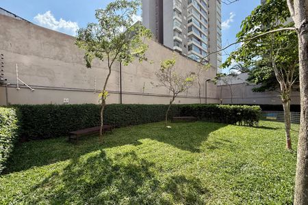 Área comum - Área Verde de apartamento para alugar com 1 quarto, 27m² em Jardim Caravelas, São Paulo