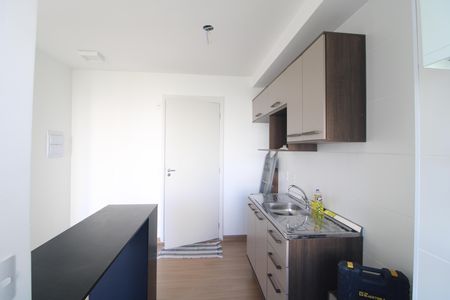 Cozinha de apartamento para alugar com 1 quarto, 37m² em Vila Gea, São Paulo