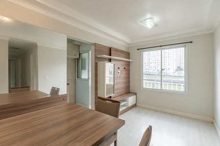 Apartamento para alugar com 2 quartos, 50m² em Jardim Maria Estela, São Paulo