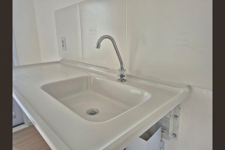 Detalhe Pia da Cozinha de apartamento para alugar com 1 quarto, 29m² em Vila Sonia, São Paulo