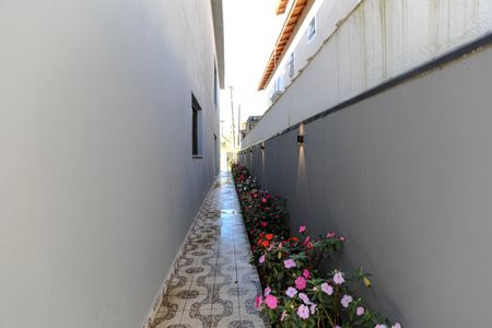 Casa para alugar com 319m², 6 quartos e 4 vagas Casa para alugar com 319m², 6 quartos e 4 vagasQuintal