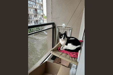 Foto 09 de kitnet/studio à venda com 1 quarto, 32m² em Vila Romana, São Paulo