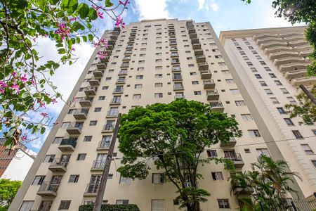 Fachada de apartamento para alugar com 1 quarto, 41m² em Cerqueira César, São Paulo