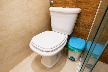 Banheiro de apartamento para alugar com 2 quartos, 55m² em Bela Vista, São Paulo
