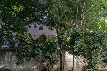 Vista Sala de apartamento para alugar com 2 quartos, 54m² em Conjunto Habitacional Padre Manoel de Paiva, São Paulo
