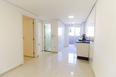 Apartamento para alugar com 2 quartos, 45m² em Vila Carmosina, São Paulo