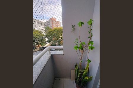 Sala sacada de apartamento para alugar com 2 quartos, 60m² em Vila Dusi, São Bernardo do Campo