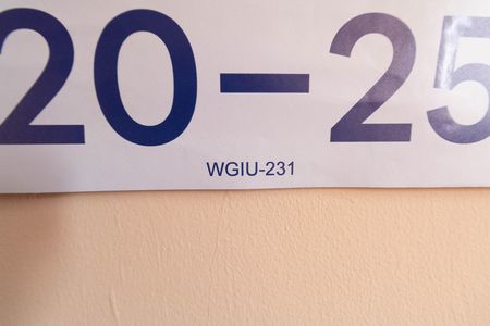 Apartamento para alugar com 45m², 2 quartos e 1 vaga Apartamento para alugar com 45m², 2 quartos e 1 vagaWGIU-231