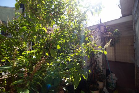 Área comum  de casa para alugar com 2 quartos, 70m² em Jardim Figueira, Guarulhos