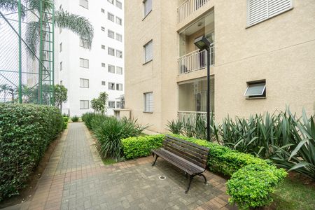 Área externa de apartamento para alugar com 2 quartos, 48m² em Vila Moreira, São Paulo