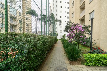 Área externa de apartamento para alugar com 2 quartos, 48m² em Vila Moreira, São Paulo