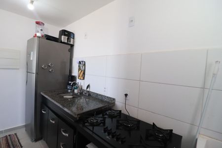 Cozinha  de apartamento para alugar com 2 quartos, 100m² em Parque das Oliveiras Ii, Ribeirão Preto