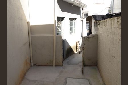 Quintal de casa para alugar com 1 quarto, 80m² em Quinta da Paineira, São Paulo