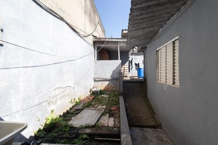 Quintal de casa à venda com 2 quartos, 170m² em Vila Santa Teresinha, São Paulo