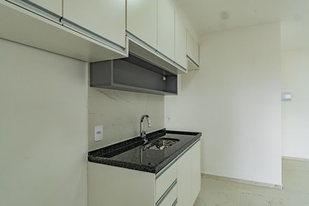 Cozinha de apartamento para alugar com 2 quartos, 42m² em Ipiranga, São Paulo