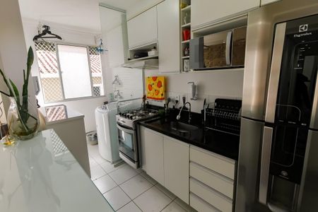 Cozinha - Armários de apartamento para alugar com 2 quartos, 48m² em Parque Munhoz, São Paulo