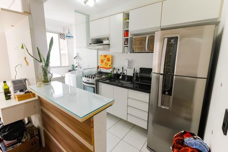 Cozinha - Armários de apartamento para alugar com 2 quartos, 48m² em Parque Munhoz, São Paulo