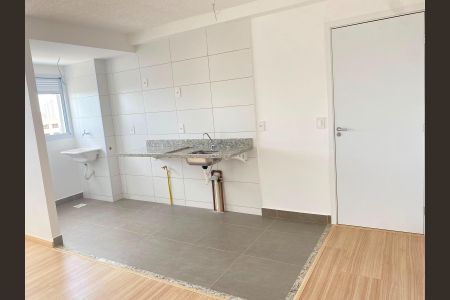 Cozinha de apartamento para alugar com 2 quartos, 48m² em Cidade Vera Cruz, Aparecida de Goiânia