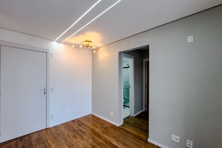 Sala de apartamento para alugar com 2 quartos, 45m² em Belenzinho, São Paulo