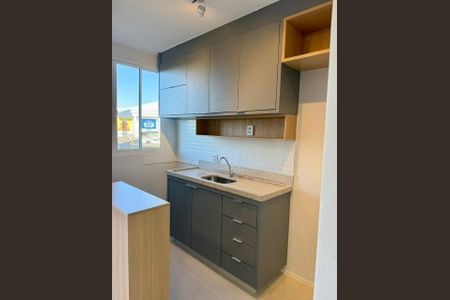 Cozinha de apartamento para alugar com 2 quartos, 42m² em Fazenda Crimeia Caveiras, Goiânia