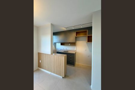 Cozinha de apartamento para alugar com 2 quartos, 42m² em Fazenda Crimeia Caveiras, Goiânia