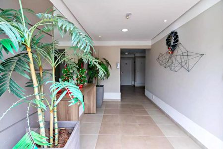Área comum de apartamento para alugar com 3 quartos, 84m² em Jardim das Palmas, São Paulo